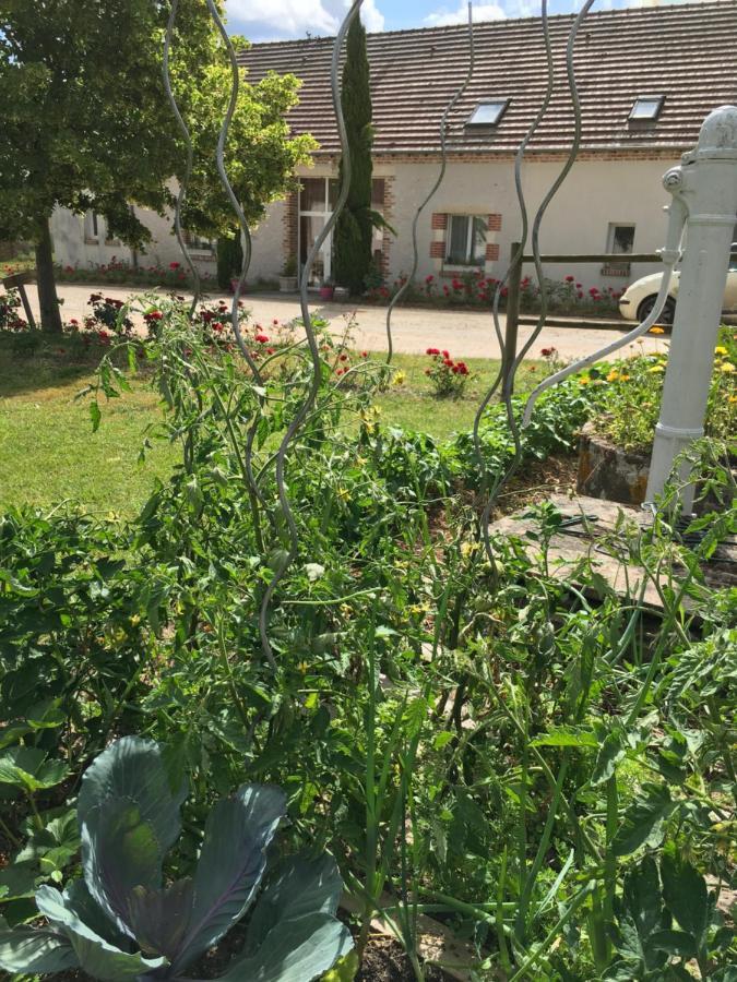 Bed and Breakfast La Ferme De La Maugerie Thoury Екстер'єр фото